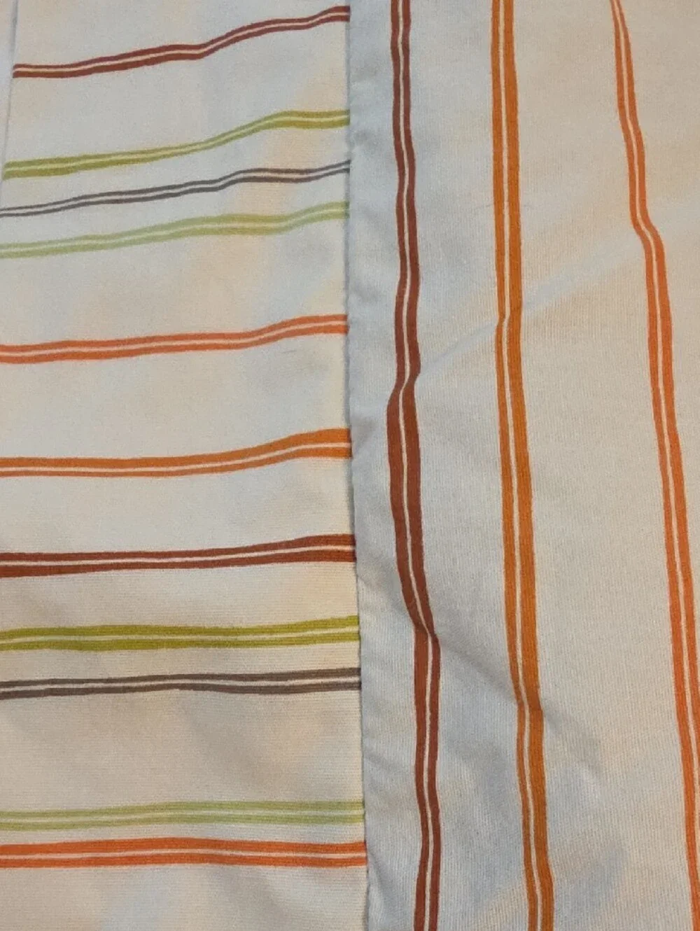 Botanical Modern Botanical Stems Poppy Revisable Stripes Twin Comforter